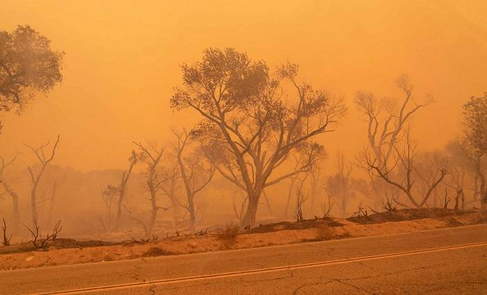 آتش سوزی کالیفرنیا / California wildfire