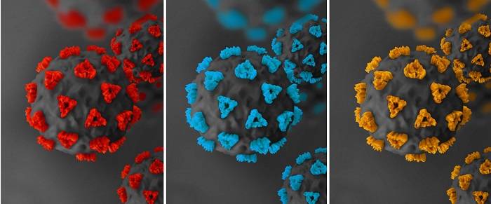 ویروس کرونا / Coronavirus