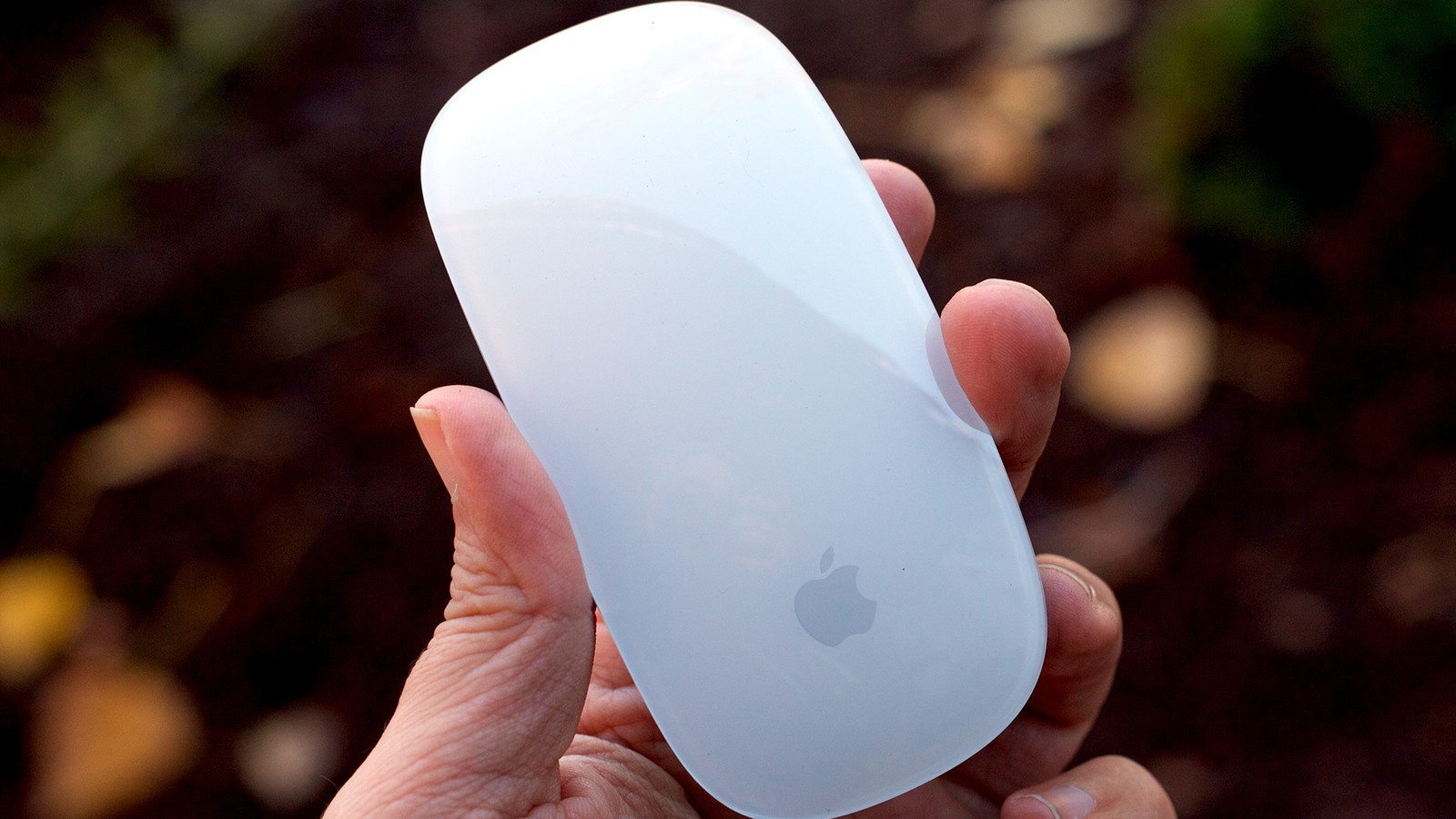 مجیک ماوس اپل / Magic Mouse